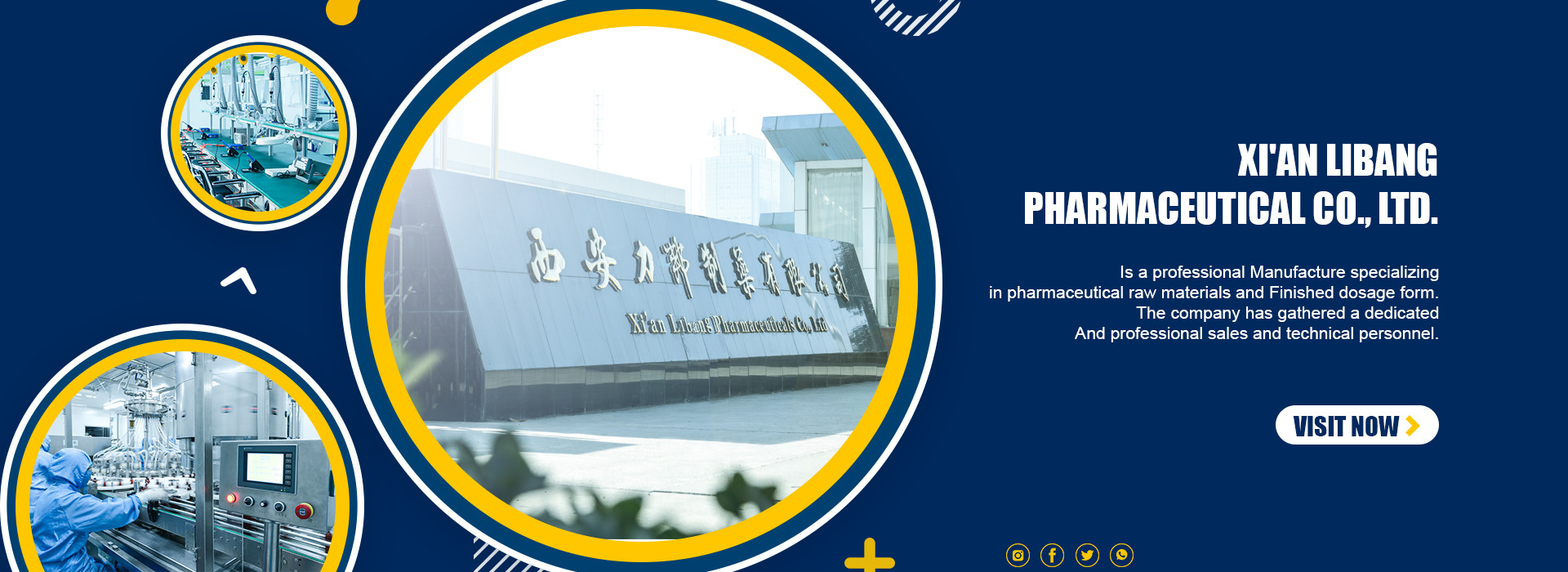 Quality Diatrizoic Acid factory